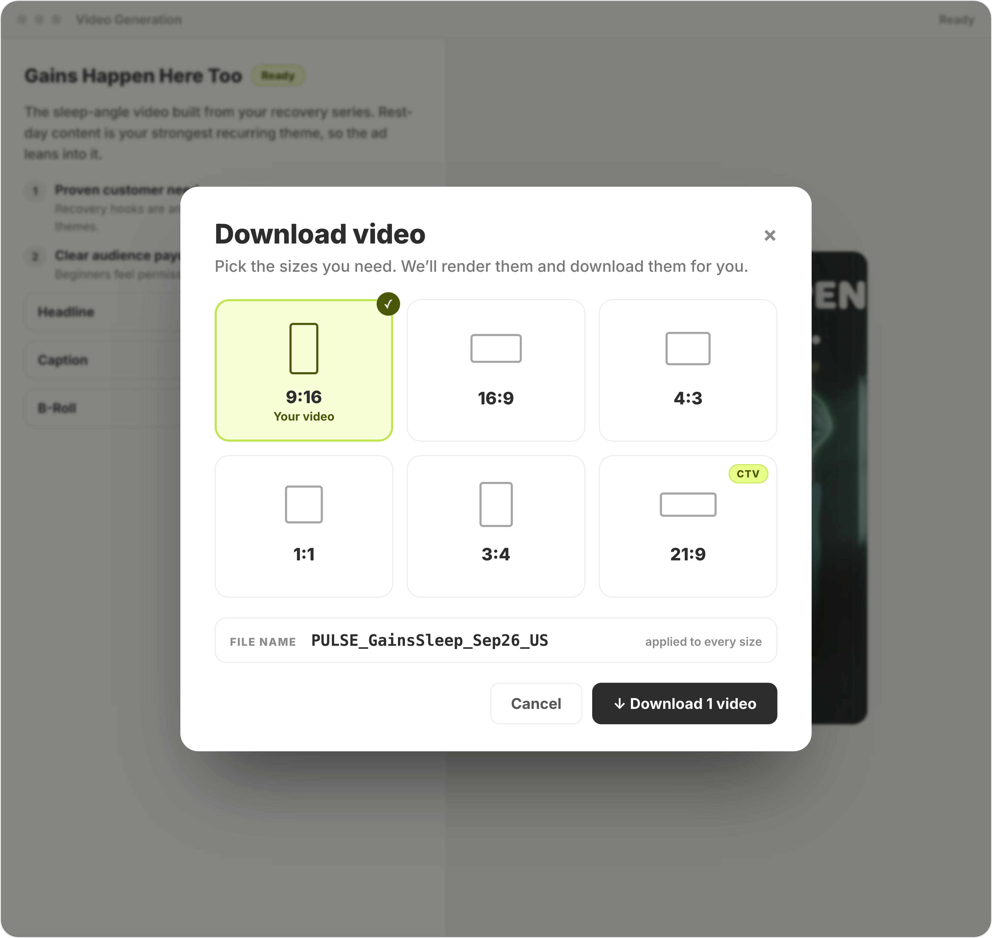 Segwise download dialog with every aspect ratio including CTV